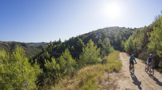 Two people cycling on a mountain trail