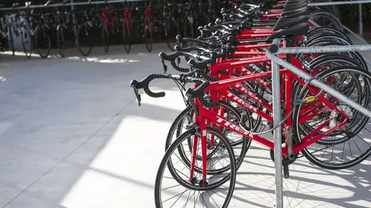 You'll definitely need a bike!