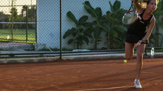 Clay courts