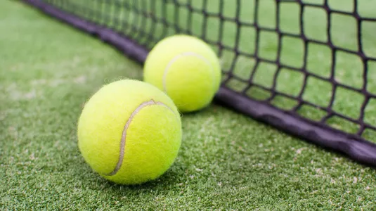Grass court
