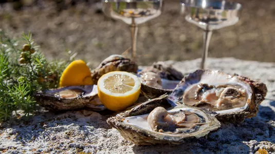 Mali Ston Oysters