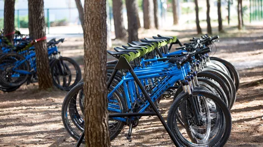 Buying a mountain bike