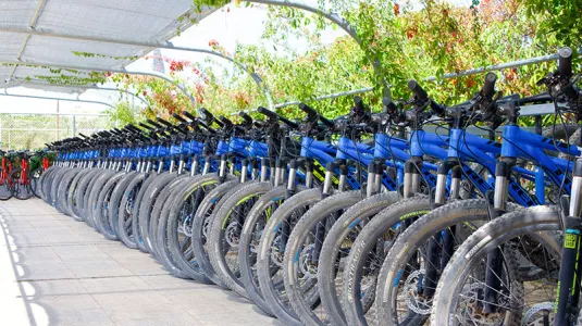 Bike back-to-basics