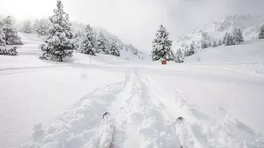 Narnia run