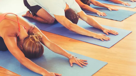 Hatha yoga