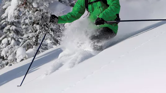 ski pole plant