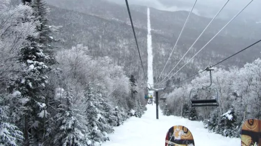A skilift over a snow-covered forest