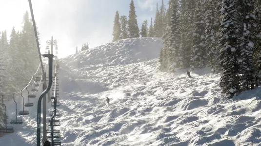 mogul field