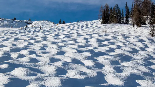 mogul field