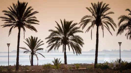 Views of Mar Menor