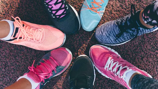 trainers