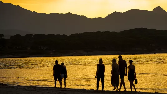 Group of people walking on the beach at sunset