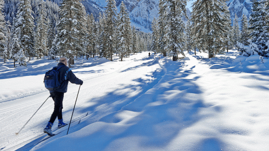 cross country skiing