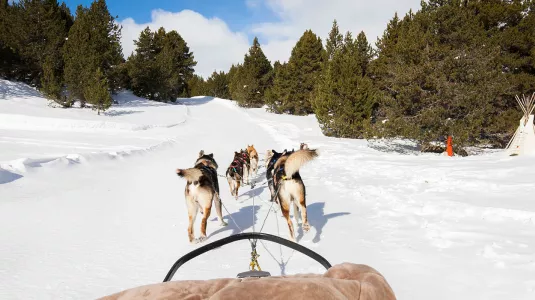 dog sledding