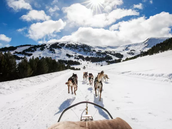 Husky sledging