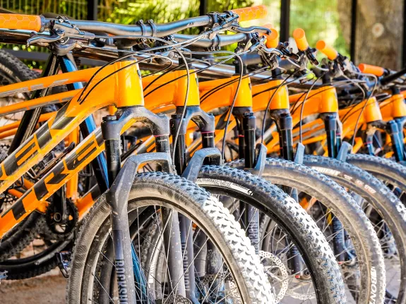 mountain bikes