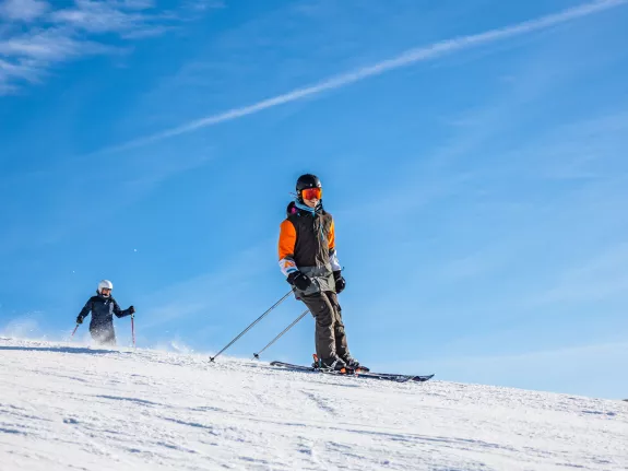 neilson Mountain Expert
