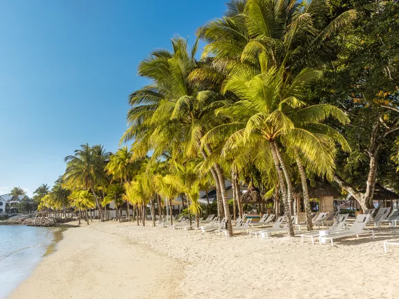 Mauritian beach