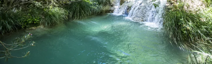 Stenosia River Trail