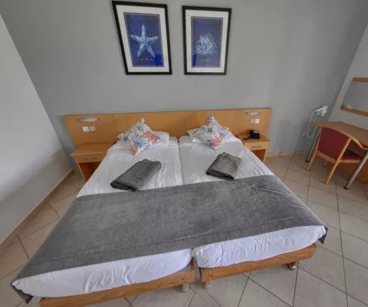 DOUBLE OR TWIN ROOM