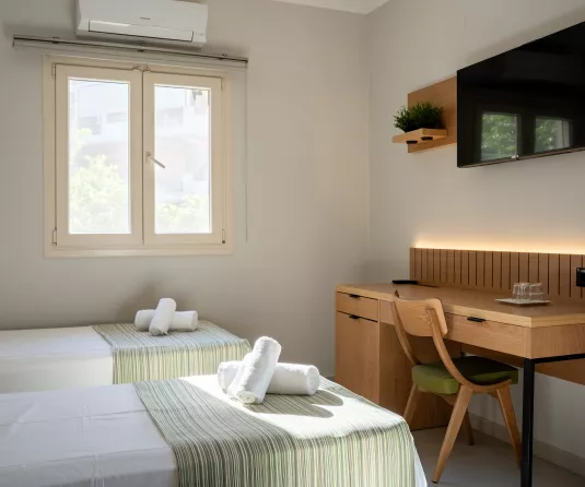 Cosmos twin room with no balcony